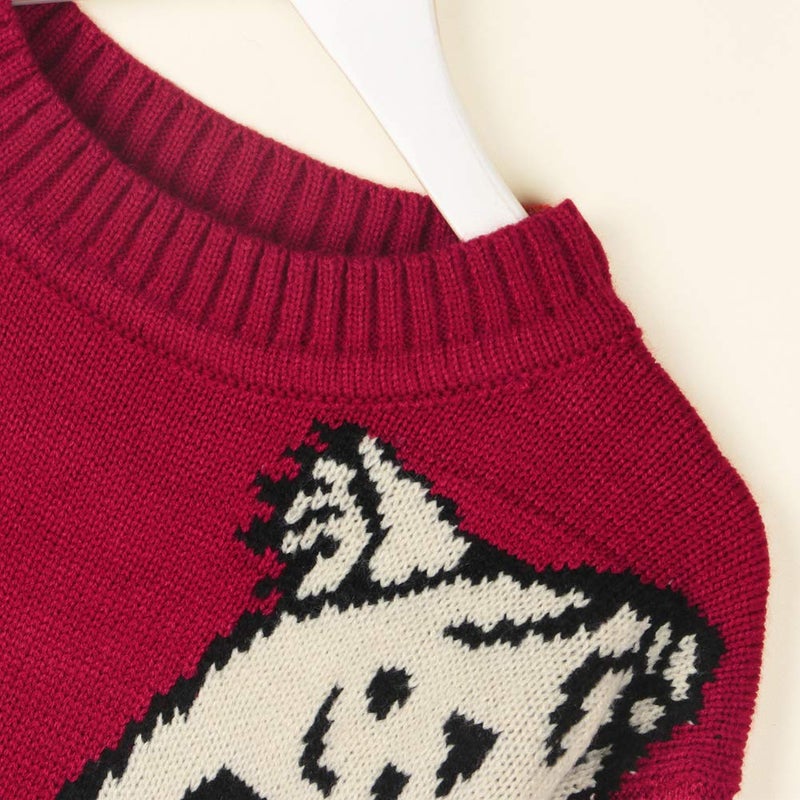 JUNBOON Womenâ€™s Casual Leopard Print Knitted Pullover Sweaters Long Sleeve Crew Neck Jumper Tops Red - Image 5
